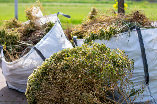 Retail Junk Removal in Latimer, MS